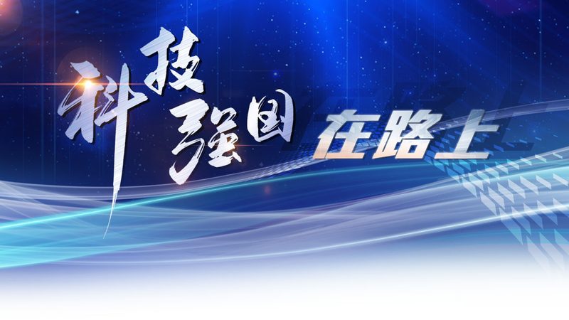 多语言全文搜索系统：企业信息化的“智慧引擎